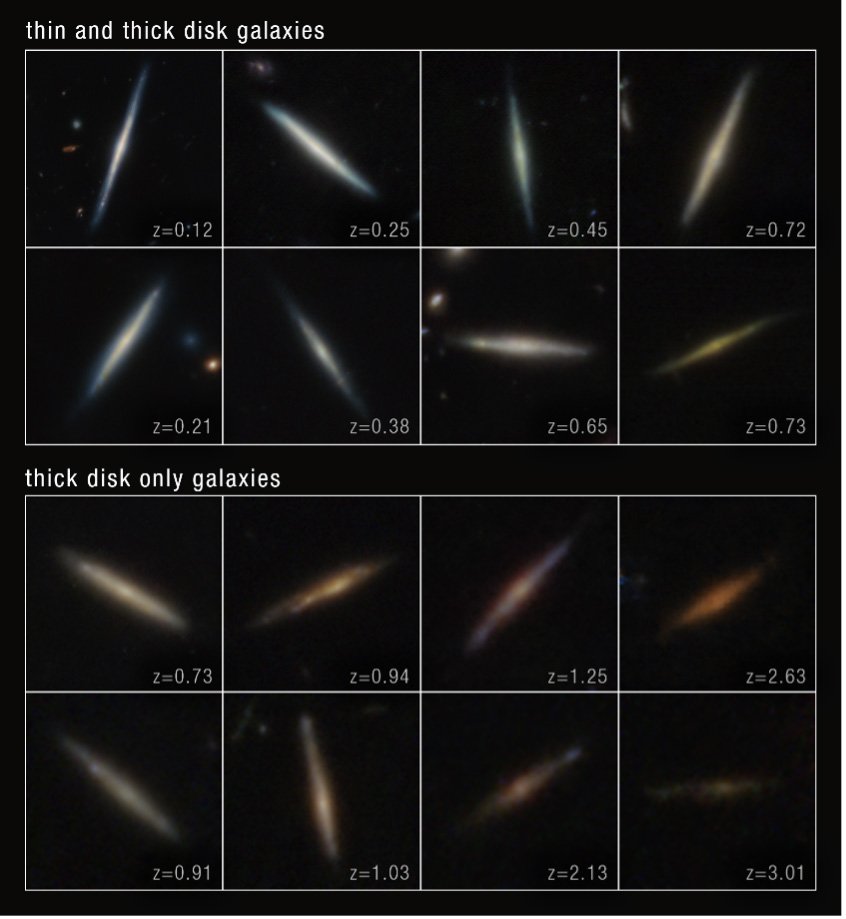 The figures show how disk formation progresses: early galaxies mainly have a thick disk (bottom), while thin and thick disks often coexist in later galaxies (top).